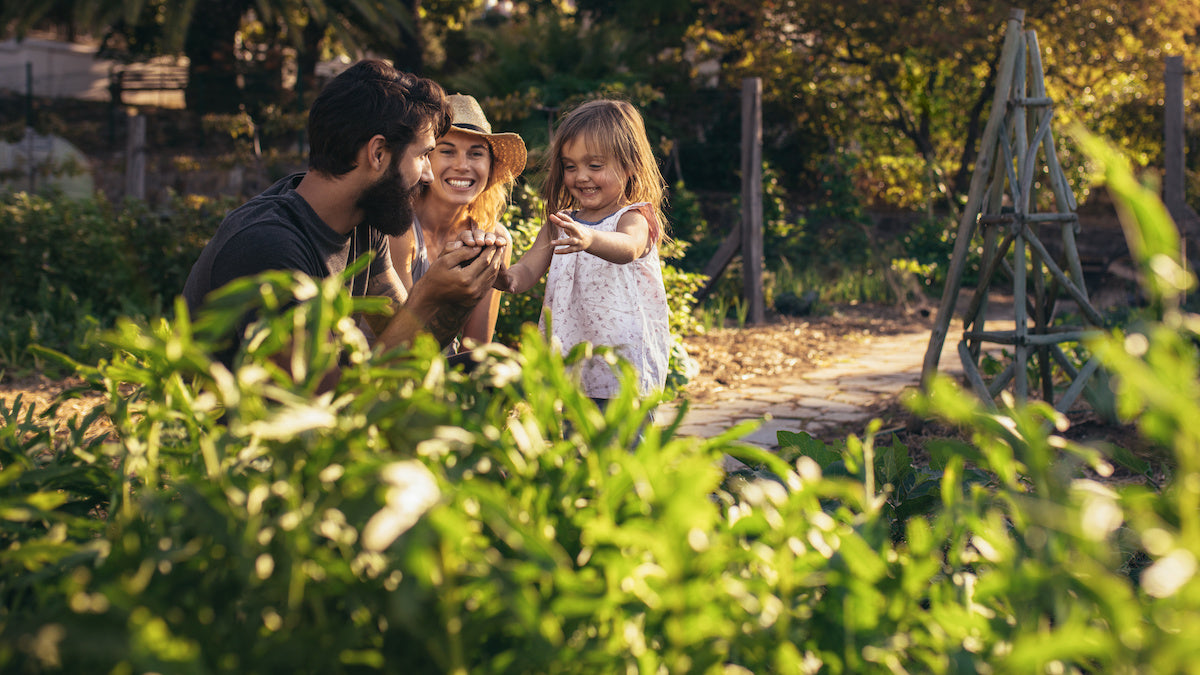 Young parents crouching in the garden with their toddler. 